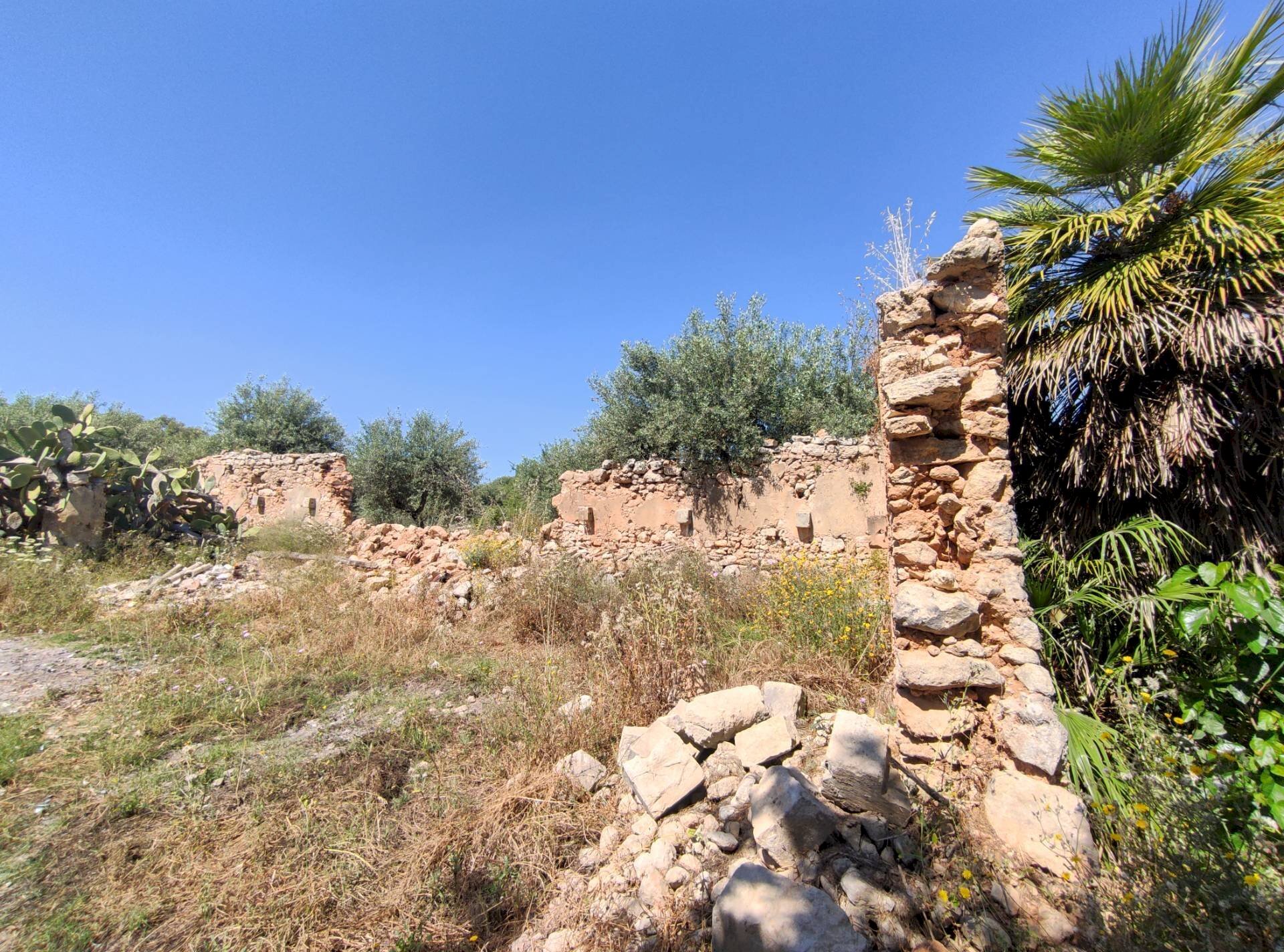 Foto 2 - Rustic Contrada Volpiglia
snc, Noto - photo 2