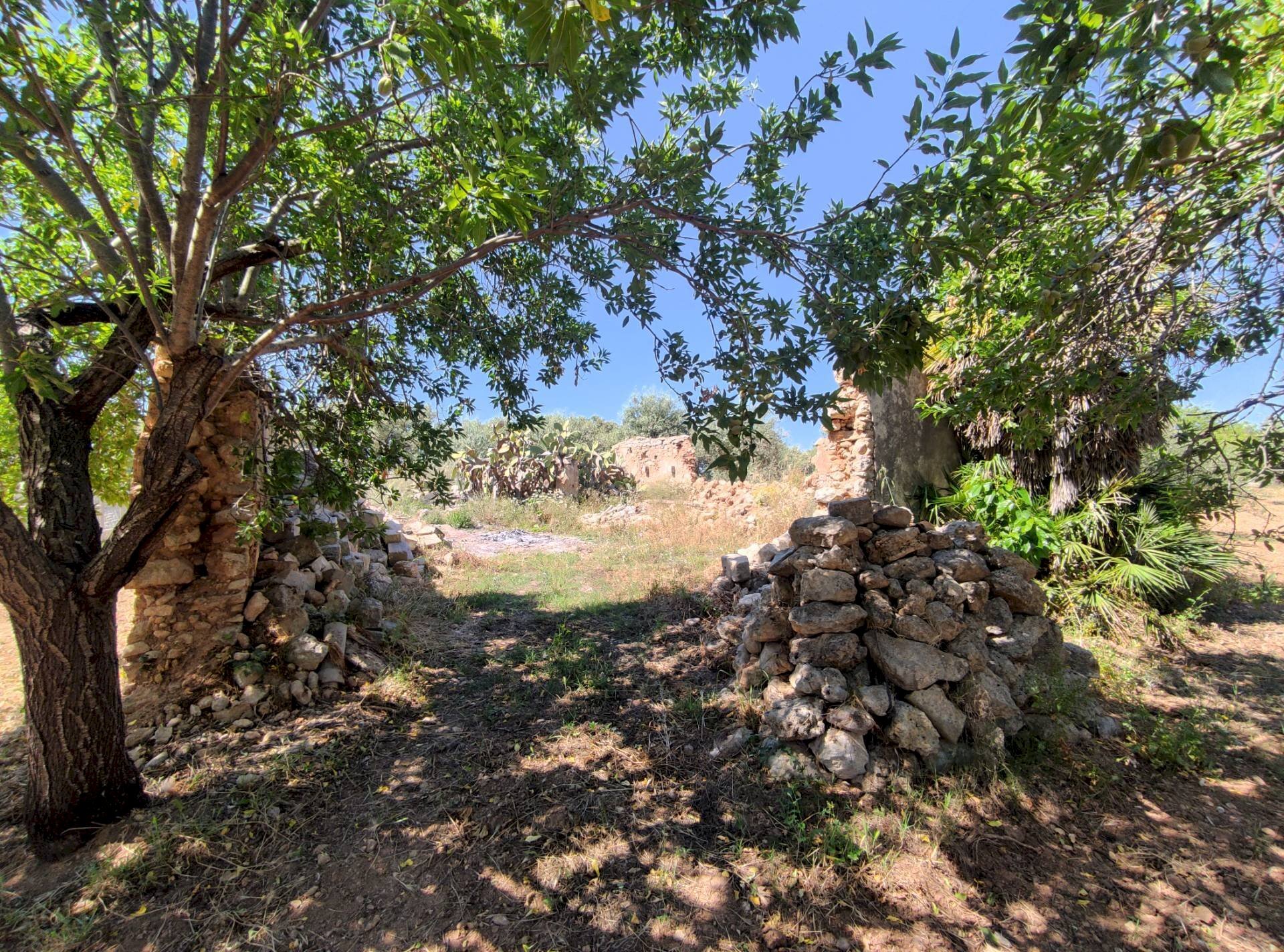 Foto 3 - Rustic Contrada Volpiglia
snc, Noto - photo 3