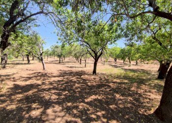 Foto 5 - Rustico Contrada Volpiglia
 
snc, Noto - foto 5