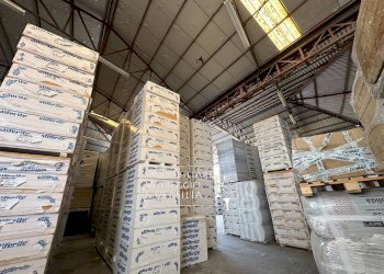 Foto 5 - Warehouse via Virgilio
 
200, Viareggio - photo 4