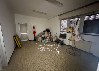 Foto 10 - Warehouse via Virgilio
 
200, Viareggio - photo 9