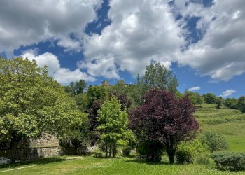 Foto 8 - Villa via di pescaia, Pratovecchio Stia - foto 8