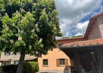 Foto 10 - Villa via di pescaia, Pratovecchio Stia - foto 10