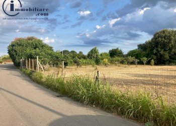 Foto 8 - Terreno edificabile Via Tirso, Tortolì - foto 8