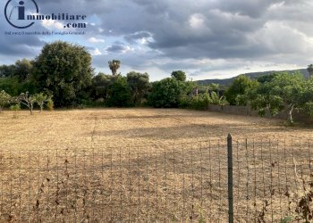 Foto 10 - Terreno edificabile Via Tirso, Tortolì - foto 10