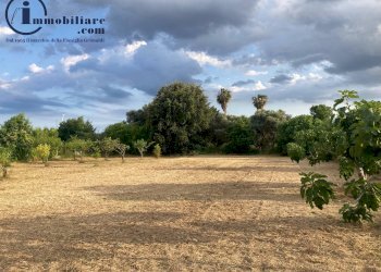 Foto 11 - Terreno edificabile Via Tirso, Tortolì - foto 11