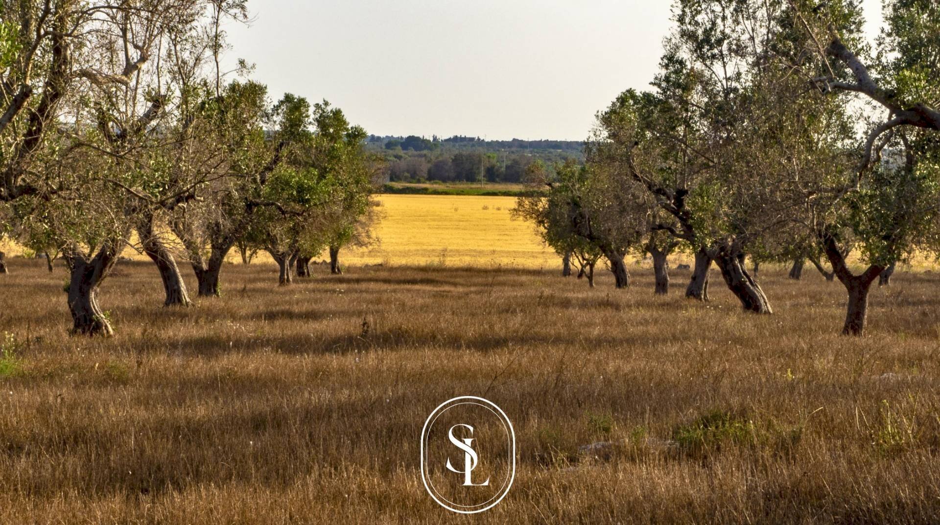 Foto 1 - Rustico Nardò - foto 1