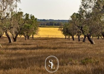 Foto 1 - Rustico Nardò - foto 1