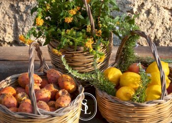 Foto 8 - Rustico Nardò - foto 8