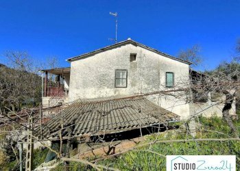 Foto 3 - Rustic rimembranze
 
22, Amelia - photo 3