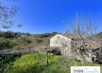 Foto 5 - Rustic rimembranze
 
22, Amelia - photo 5