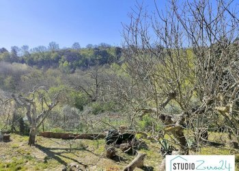 Foto 8 - Rustic rimembranze
 
22, Amelia - photo 8