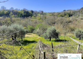 Foto 9 - Rustic rimembranze
 
22, Amelia - photo 9