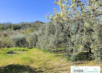 Foto 10 - Rustic rimembranze
 
22, Amelia - photo 10