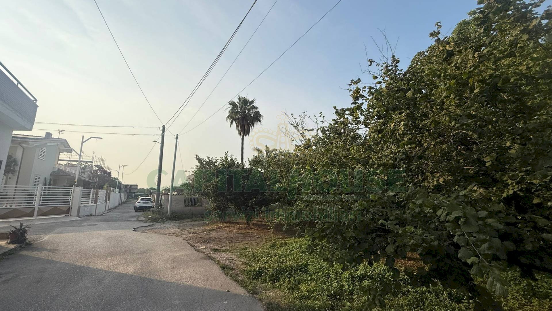 Foto 2 - Terreno agricolo Scisciano, Scisciano - foto 2