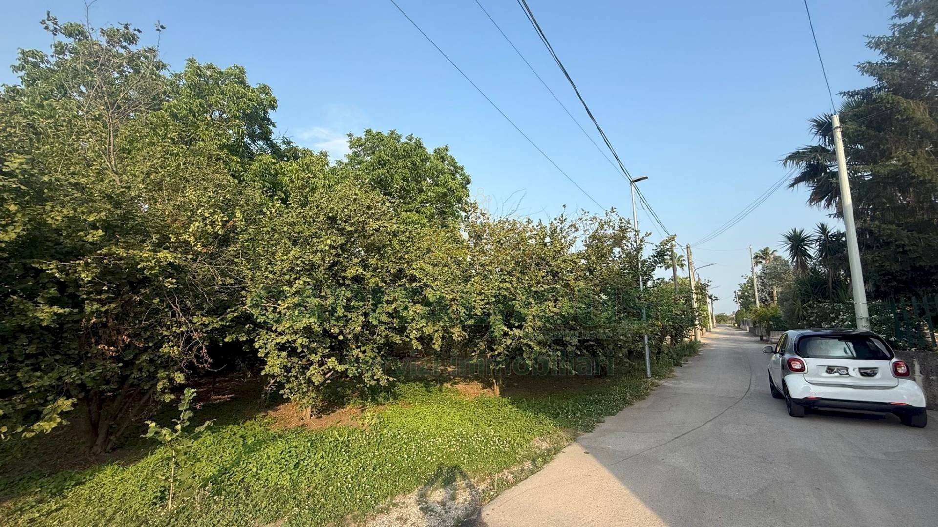 Foto 3 - Terreno agricolo Scisciano, Scisciano - foto 3