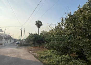 Foto 2 - Terreno agricolo Scisciano, Scisciano - foto 2