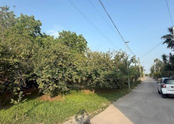 Foto 3 - Terreno agricolo Scisciano, Scisciano - foto 3