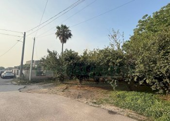 Foto 4 - Terreno agricolo Scisciano, Scisciano - foto 4