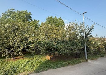 Foto 5 - Terreno agricolo Scisciano, Scisciano - foto 5