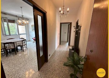 Foto 16 - Four-room apartment via canale della botte
 
21, Molinella - photo 16