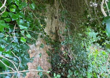 Foto 58 - Rustic contrada Bosco di Sopra
 
sn, Canicattini Bagni - photo 58