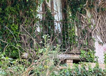 Foto 62 - Rustic contrada Bosco di Sopra
 
sn, Canicattini Bagni - photo 62