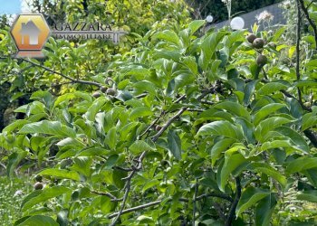 Foto 65 - Rustic contrada Bosco di Sopra
 
sn, Canicattini Bagni - photo 65