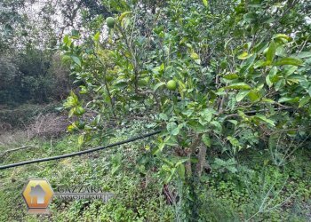 Foto 69 - Rustic contrada Bosco di Sopra
 
sn, Canicattini Bagni - photo 69