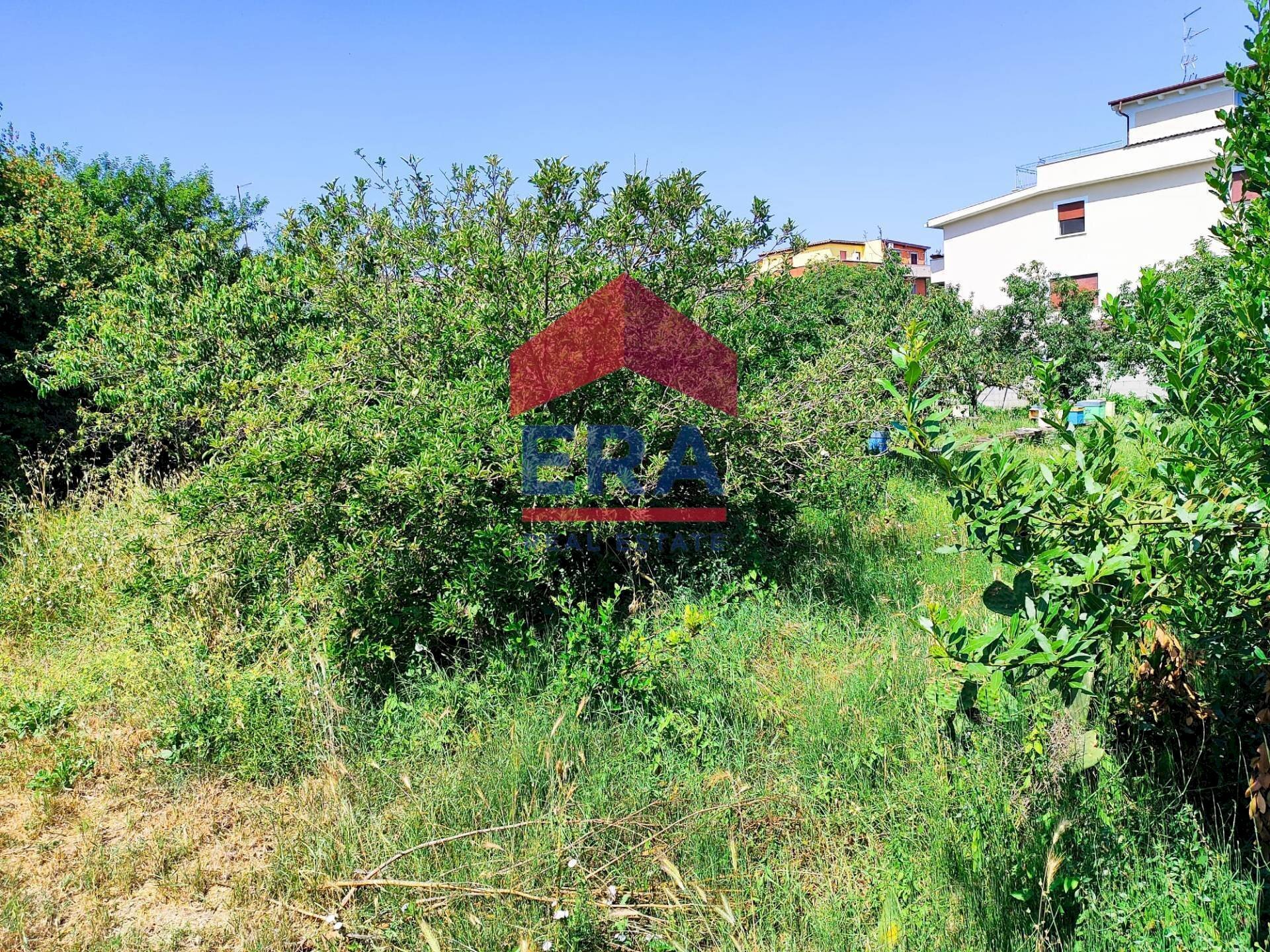 Foto 3 - Building land Via Cremosano
21, Roma - photo 3