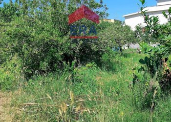 Foto 6 - Building land Via Cremosano
21, Roma - photo 6