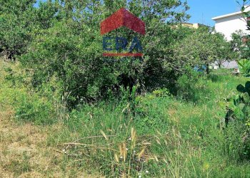 Foto 11 - Building land Via Cremosano
21, Roma - photo 11