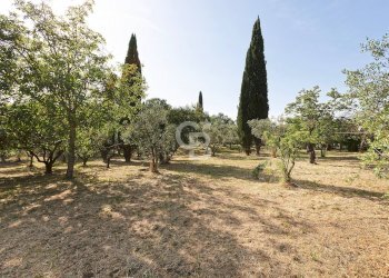 Foto 20 - Rustico Contrada Fornacchia, Soriano nel Cimino - foto 20