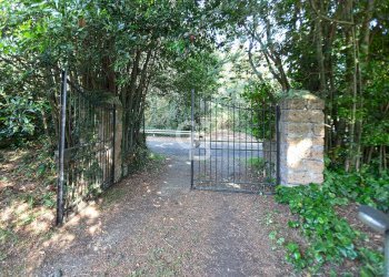 Foto 24 - Rustico Contrada Fornacchia, Soriano nel Cimino - foto 24