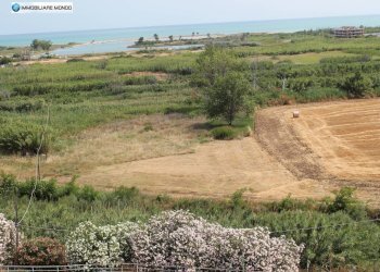 Foto 53 - Trilocale Contrada Lauretta, Campomarino - foto 53