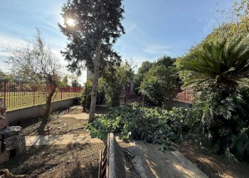 Foto 6 - Independent house Strada Ponteselice
 
32, Casagiove - photo 6