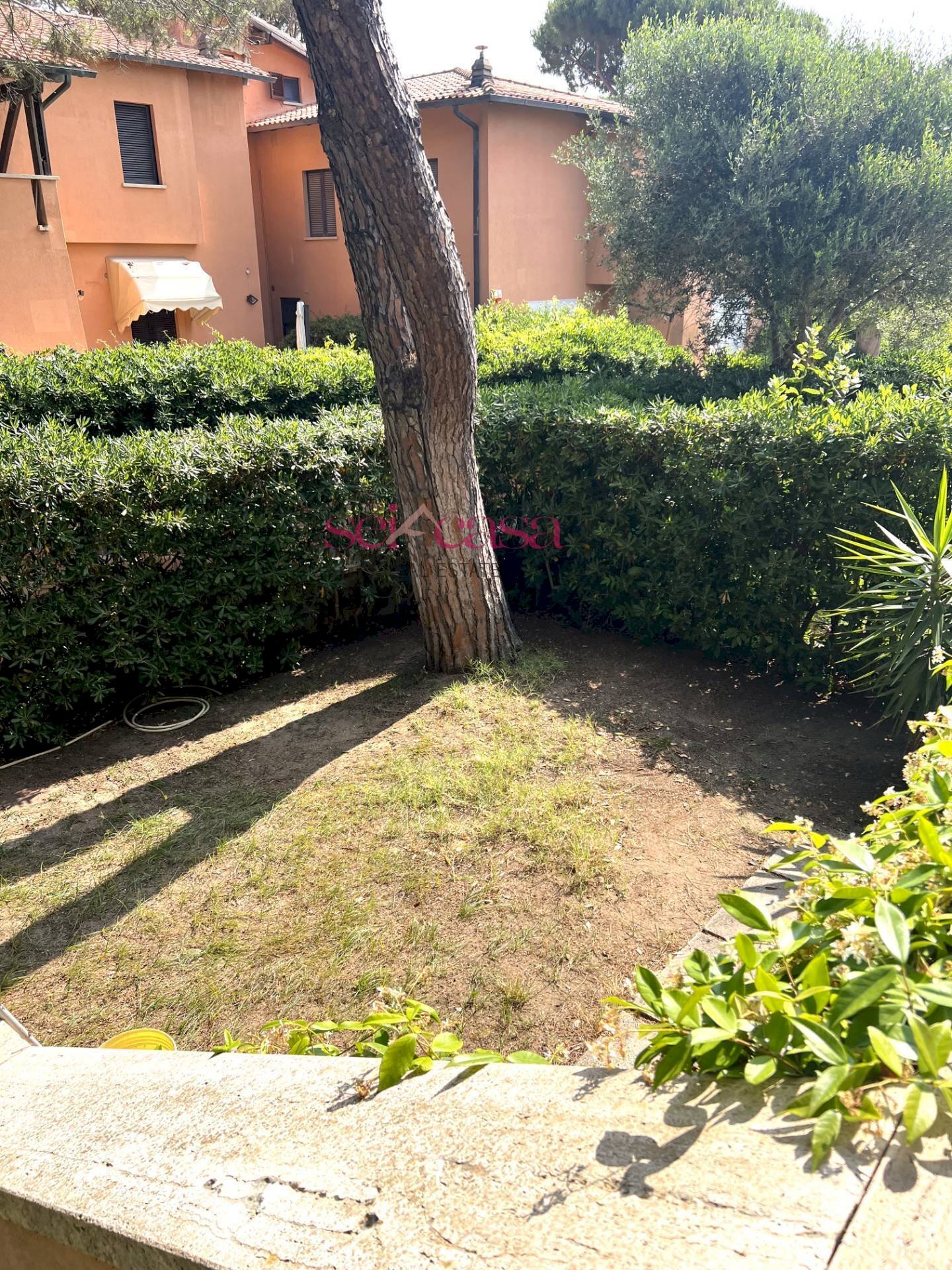 Foto 2 - Casa indipendente Castiglione della Pescaia - foto 2