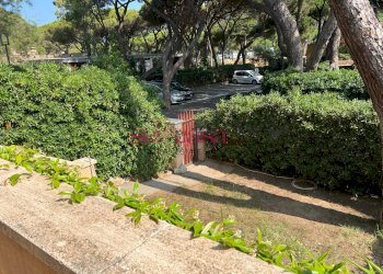 Foto 5 - Casa indipendente Castiglione della Pescaia - foto 5