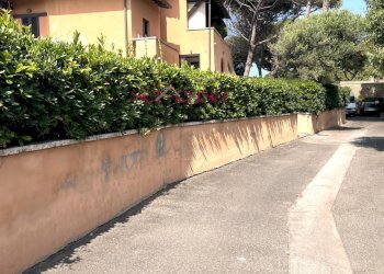 Foto 35 - Casa indipendente Castiglione della Pescaia - foto 35