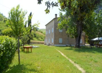 Foto 17 - Azienda agricola Via Menocchia
 
25-28, Carassai - foto 17