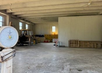 Foto 21 - Azienda agricola Via Menocchia
 
25-28, Carassai - foto 21