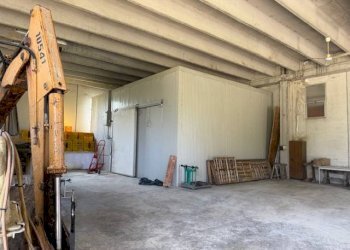 Foto 24 - Azienda agricola Via Menocchia
 
25-28, Carassai - foto 24