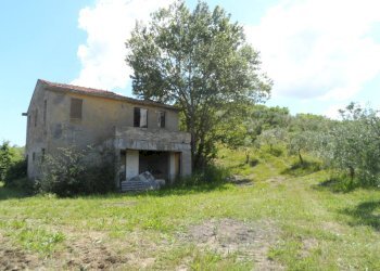 Foto 30 - Azienda agricola Via Menocchia
 
25-28, Carassai - foto 30