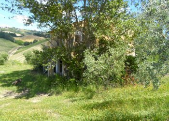 Foto 33 - Azienda agricola Via Menocchia
 
25-28, Carassai - foto 33