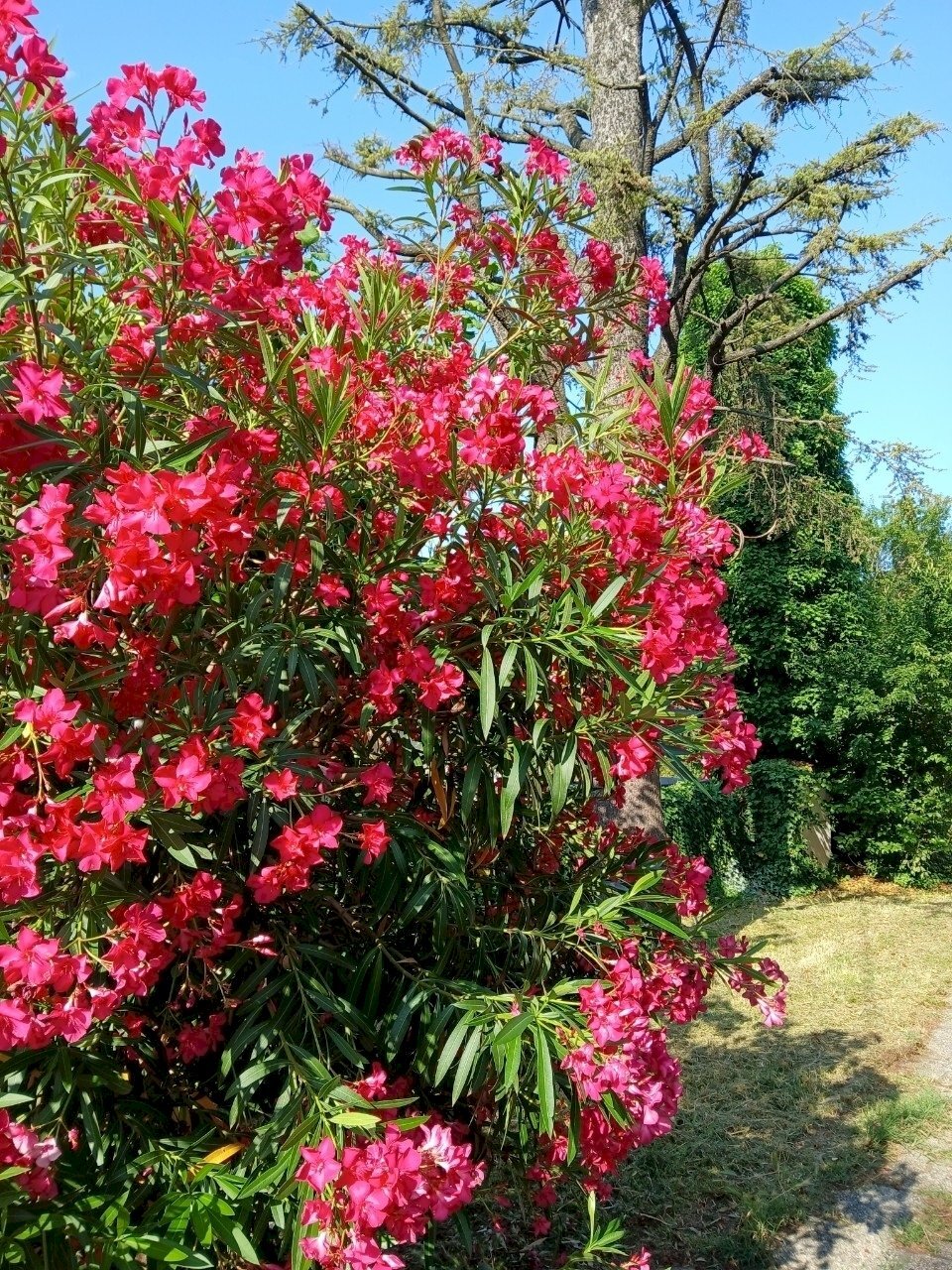 Appartamento Quattro Castella - foto 2