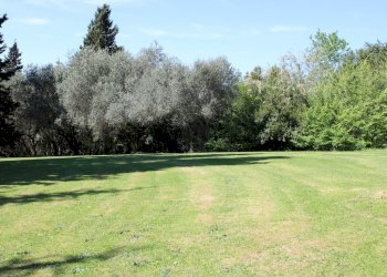 Villa Unifamiliare Santarcangelo di Romagna - foto 11
