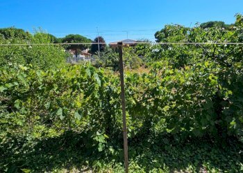 Villa Unifamiliare Cervia - foto 49