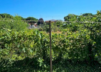 Villa Unifamiliare Cervia - foto 50