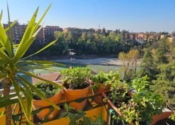 Apartment Casalecchio di Reno - photo 4