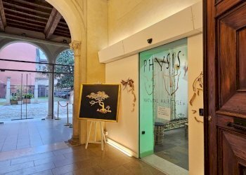 Parrucchieri Uomo - Donna Ferrara - foto 7